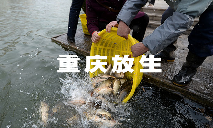 重庆放生