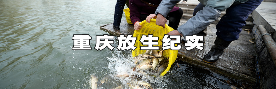 重庆放生