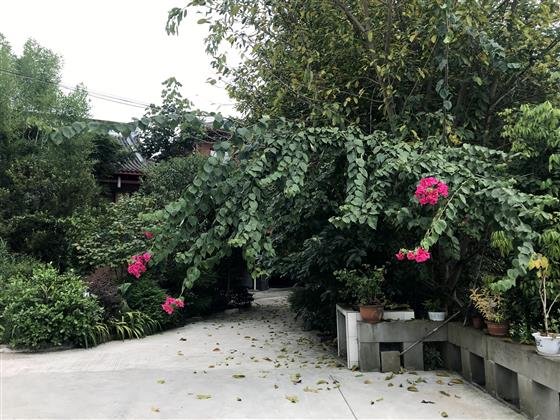 鲜花夹道的立山寺