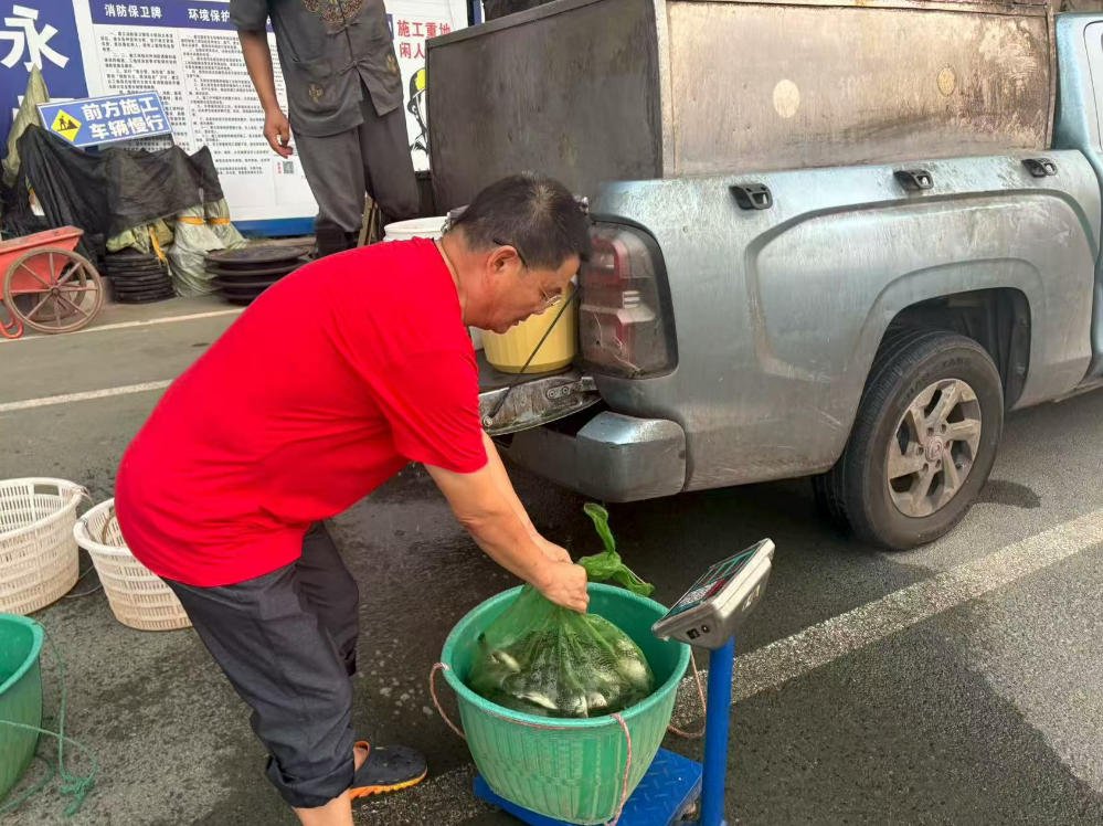 重庆放生2025-9-4